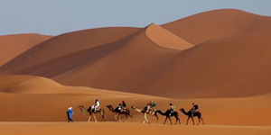 desert tours morocco