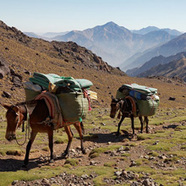 valley trek morocco