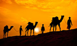 camel treks morocco